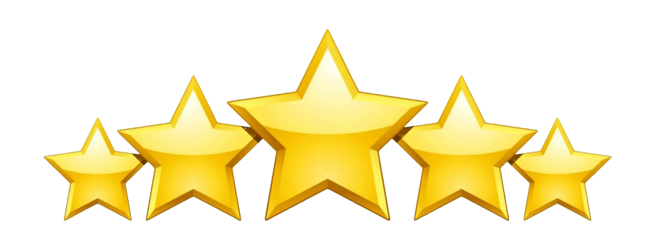 Google Business Review Icon