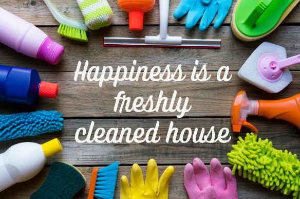 zephyrhills house cleaning